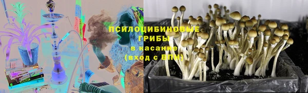 тгк Осинники