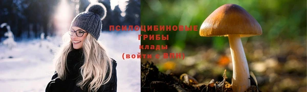 тгк Осинники