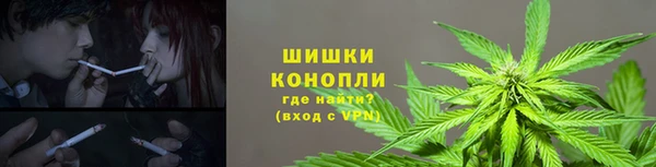 тгк Осинники