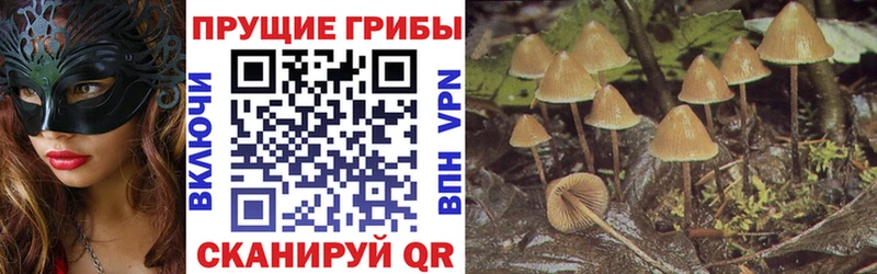 Галлюциногенные грибы Cubensis  Купить  Чудово 